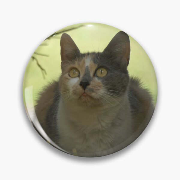 Item preview, calico cat watching birds, from the undergrowth designed and sold by LorrieBee.