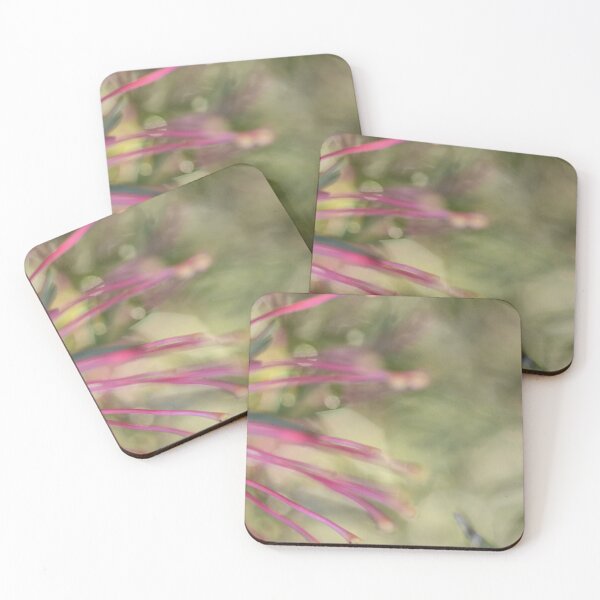 Item preview, Pretty Grevillea finds the sun designed and sold by imaginethis.