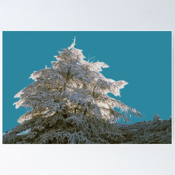 Item preview, Snowy tree designed and sold by Cloch-art.