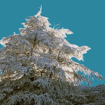 Artwork thumbnail, Snowy tree by Cloch-art