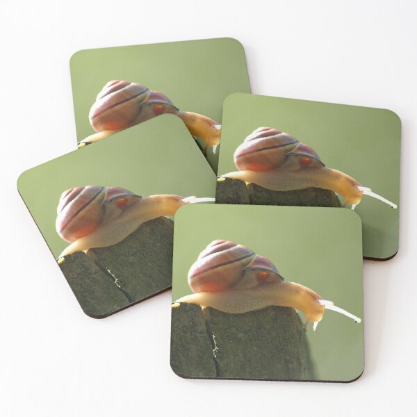 Item preview, Snail pace brown lipped banded snail designed and sold by LorrieBee.