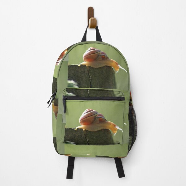 Item preview, Snail pace brown lipped banded snail designed and sold by LorrieBee.