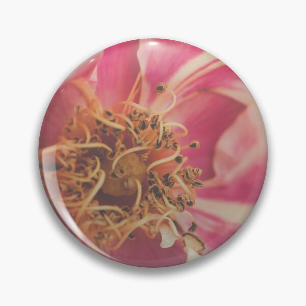 Item preview, Blushing Close-Up I Rose Photography designed and sold by KEnzPhotography.