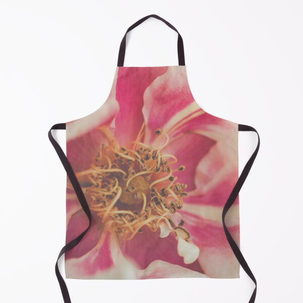 Item preview, Blushing Close-Up I Rose Photography designed and sold by KEnzPhotography.