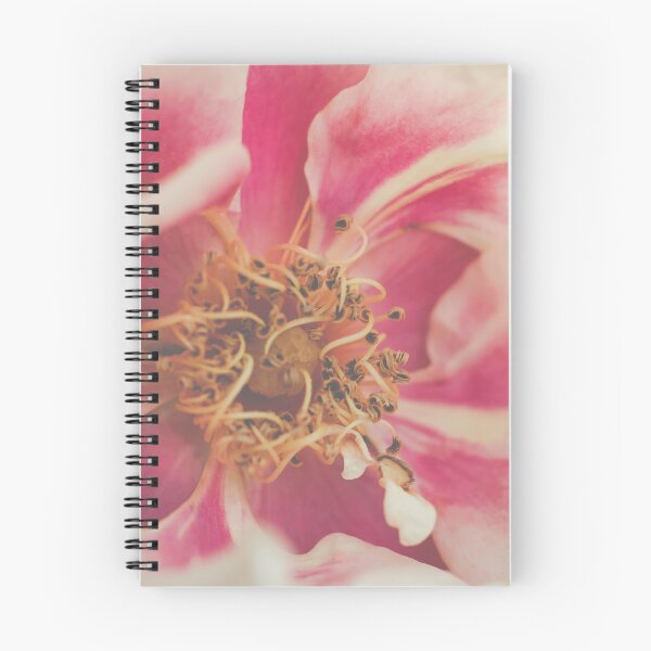 Item preview, Blushing Close-Up I Rose Photography designed and sold by KEnzPhotography.