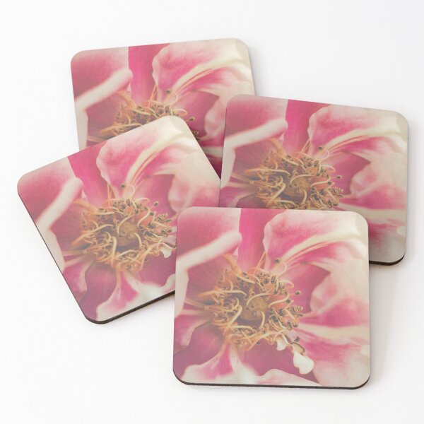 Item preview, Blushing Close-Up I Rose Photography designed and sold by KEnzPhotography.