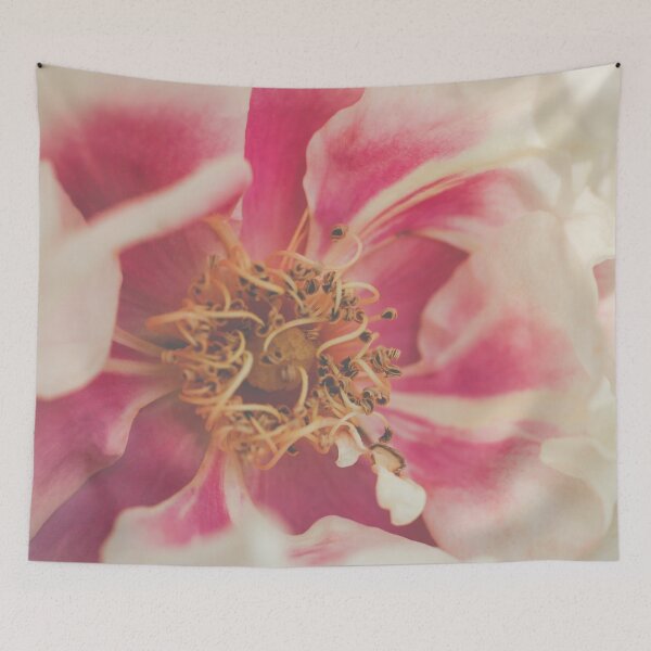 Item preview, Blushing Close-Up I Rose Photography designed and sold by KEnzPhotography.
