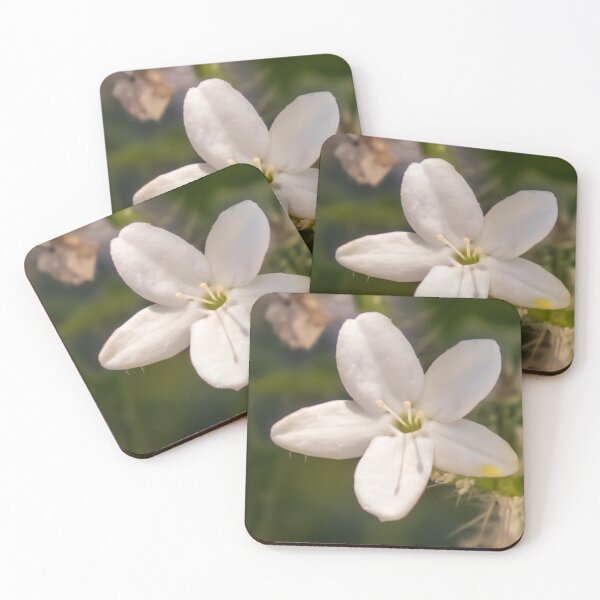 Item preview, Bull Nettle Flower designed and sold by TinyDinoDesigns.