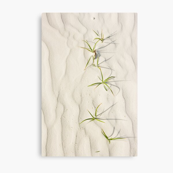 Against the odds Metal Print