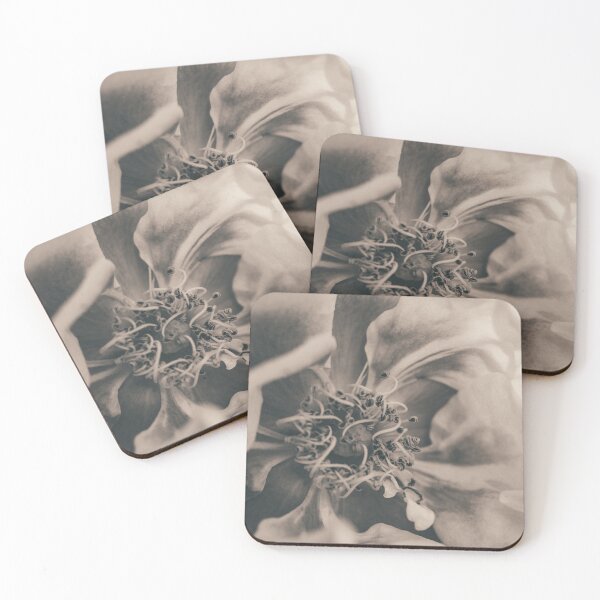 Item preview, Vintage Toned Blushing Close-Up I Rose Photography designed and sold by KEnzPhotography.