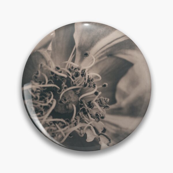 Item preview, Vintage Toned Blushing Close-Up I Rose Photography designed and sold by KEnzPhotography.