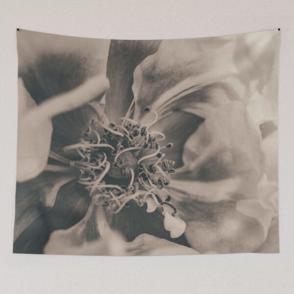 Item preview, Vintage Toned Blushing Close-Up I Rose Photography designed and sold by KEnzPhotography.