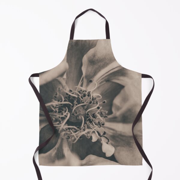 Item preview, Vintage Toned Blushing Close-Up I Rose Photography designed and sold by KEnzPhotography.