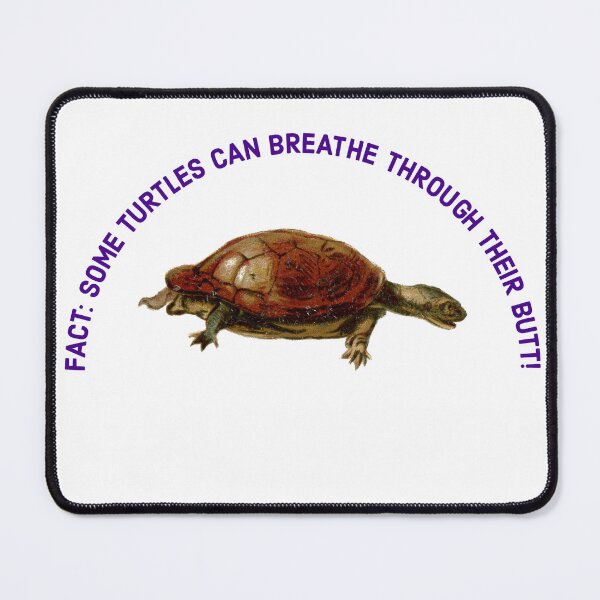 Item preview, Turtle Fact! designed and sold by MxA19.