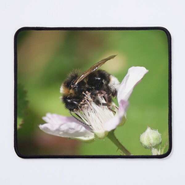 Item preview, Humble Bumble Bee designed and sold by LorrieBee.