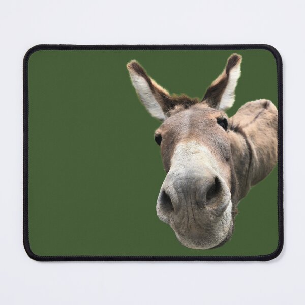 Item preview, Curious donkey designed and sold by Cloch-art.