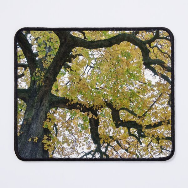 Item preview, Magestic tree in Autumn designed and sold by PrettyAround.