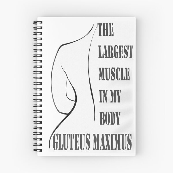 Item preview, Largest Muscle Body gluteus maximus designed and sold by santoshputhran.