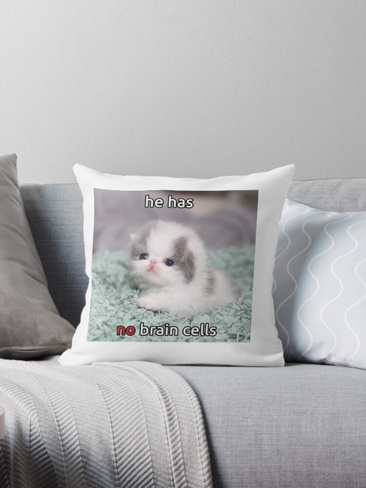 Full of despair cat meme Poster for Sale by CuteCatsLol