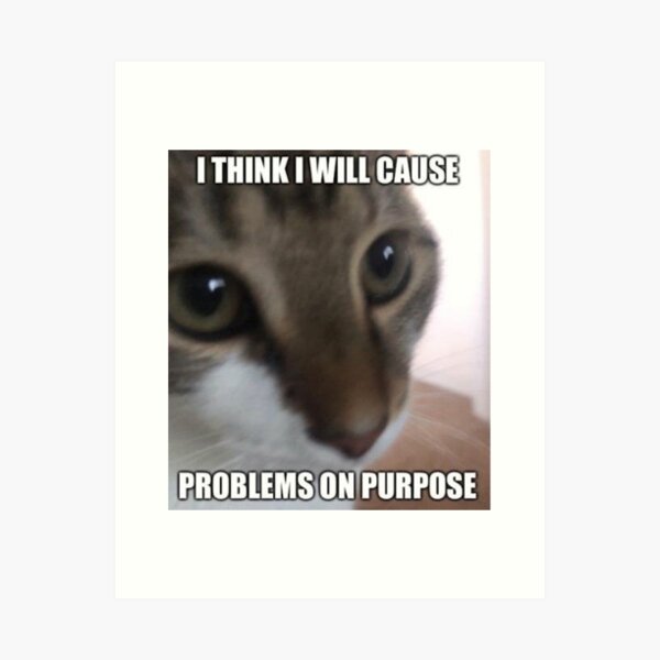 Full of despair cat meme Poster for Sale by CuteCatsLol