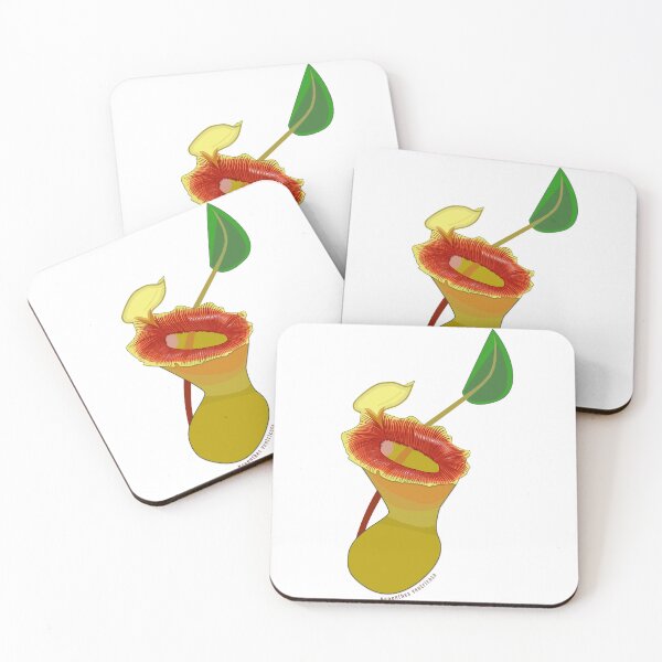 Item preview, Nepenthes ventricosa designed and sold by dekneese.