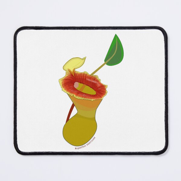 Item preview, Nepenthes ventricosa designed and sold by dekneese.