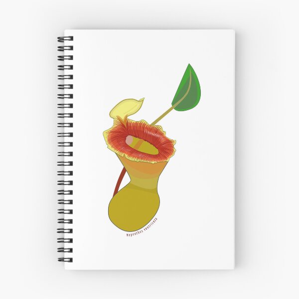 Item preview, Nepenthes ventricosa designed and sold by dekneese.