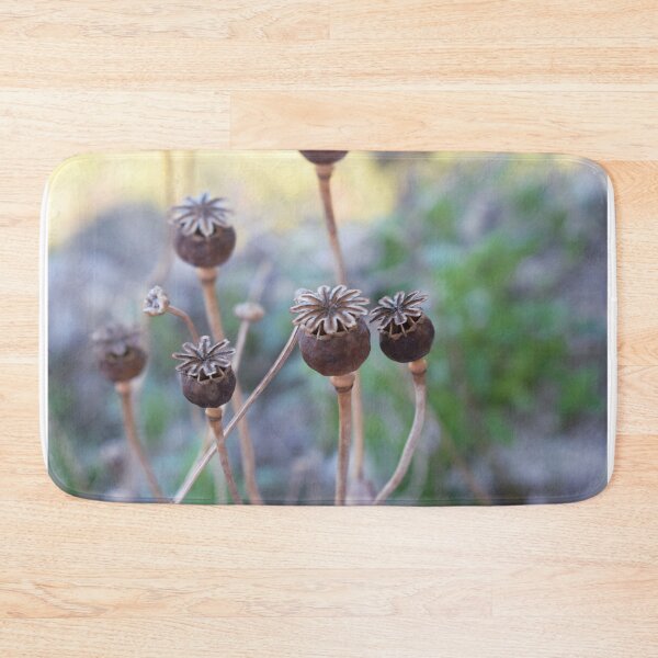 Item preview, Dry capsule of poppy (Papaver sp.) designed and sold by Furiarossa.