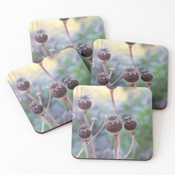 Item preview, Dry capsule of poppy (Papaver sp.) designed and sold by Furiarossa.