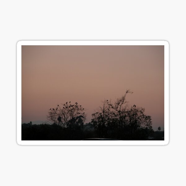 Item preview, Crows at dusk designed and sold by Wayne Thomson.