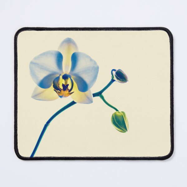Item preview, Here's Your Flower designed and sold by Swooncake Press.