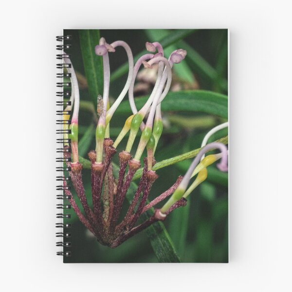 Item preview, Pale Grevillea Leith Park 20171012 1482  designed and sold by Fred Mitchell.