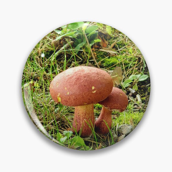 Item preview, Mushroom Lovers Unite! designed and sold by Heather Stivison Art.