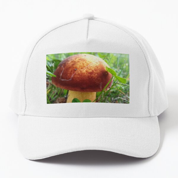 Mushroom in the Clover Baseball Cap