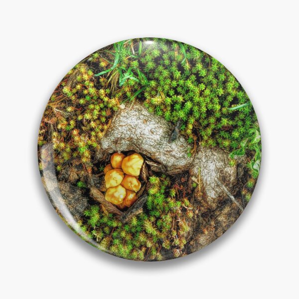 Item preview, Moss and mushrooms designed and sold by Ivy-Bindig.