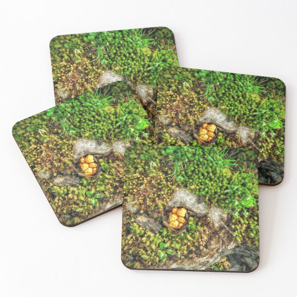 Item preview, Moss and mushrooms designed and sold by Ivy-Bindig.