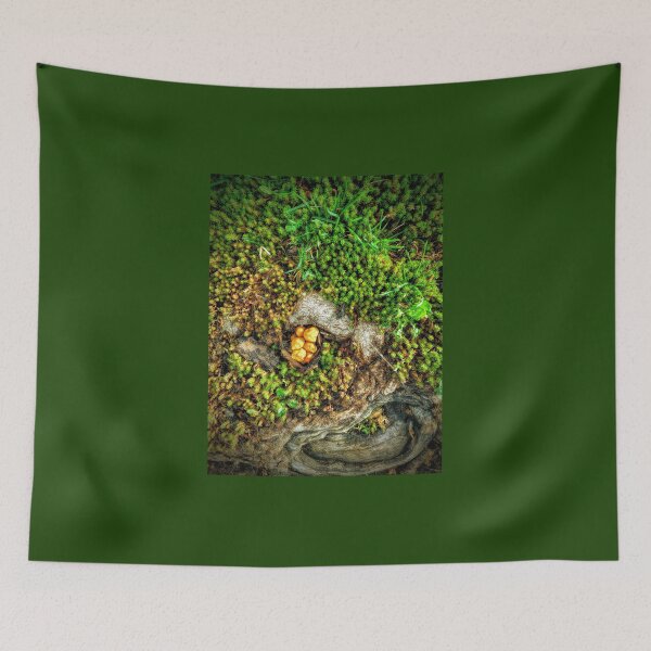 Item preview, Moss and mushrooms designed and sold by Ivy-Bindig.