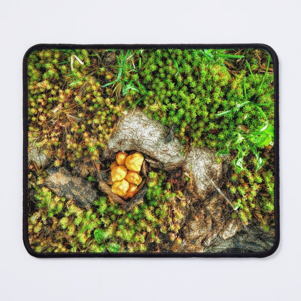 Item preview, Moss and mushrooms designed and sold by Ivy-Bindig.