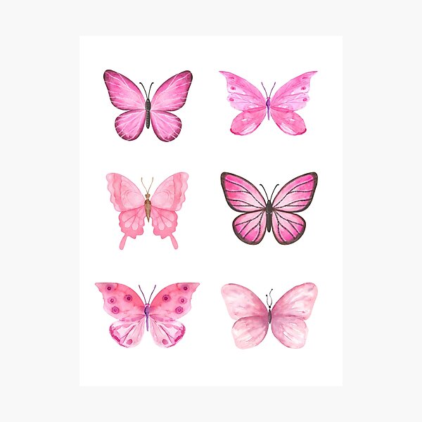 Pink Butterflies Photographic Print
