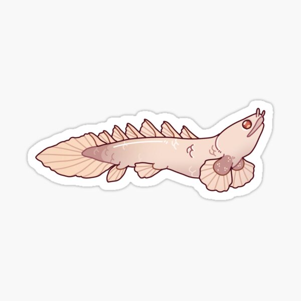 Item preview, Albino Bichir designed and sold by cargorabbit.