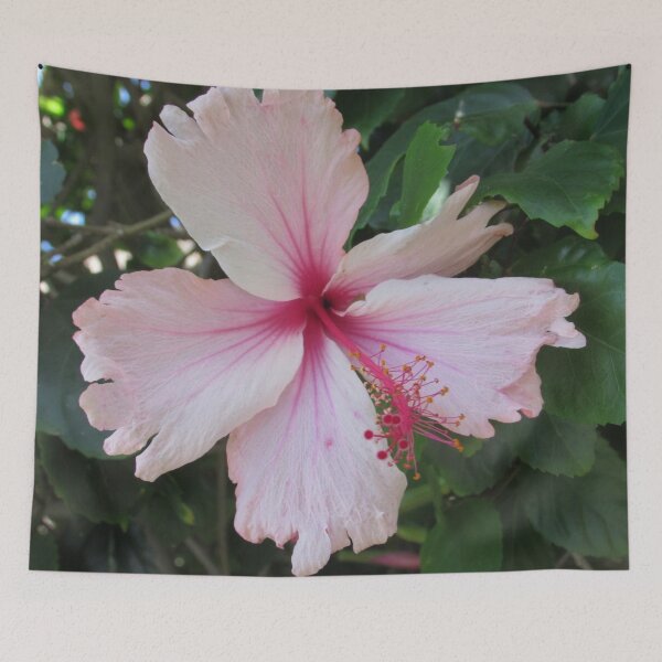 Item preview, Light Pink Hibiscus designed and sold by Image-Prints.