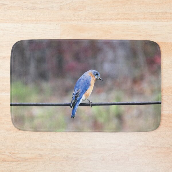 Item preview, Eastern Bluebird perched on a power cord designed and sold by Rennie Palmer.