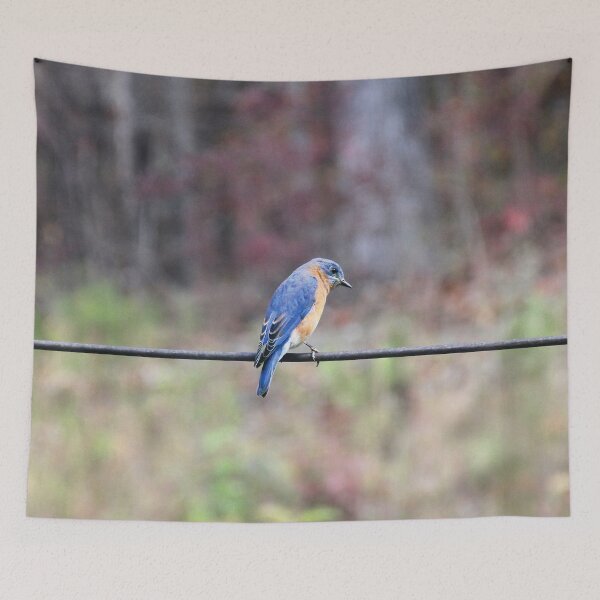 Item preview, Eastern Bluebird perched on a power cord designed and sold by Rennie Palmer.