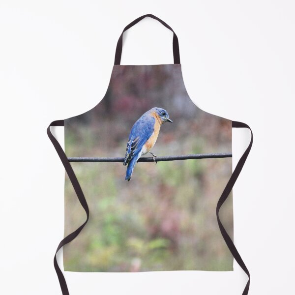 Item preview, Eastern Bluebird perched on a power cord designed and sold by Rennie Palmer.