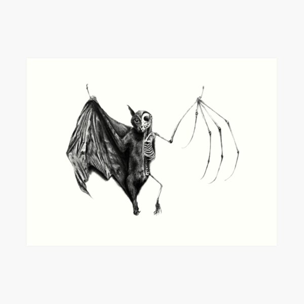 Half The Bat I Used To Be Art Print