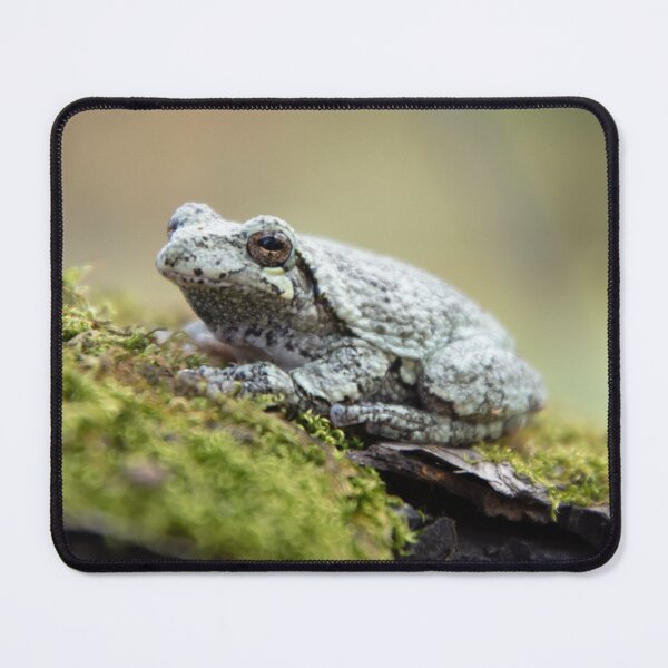 Item preview, Treefrog designed and sold by Lezlie Smith.