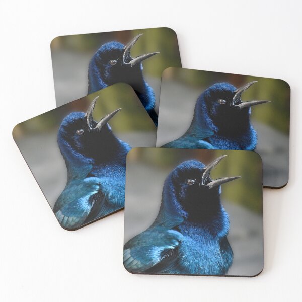 Item preview, Grackle Song designed and sold by richardbryce.