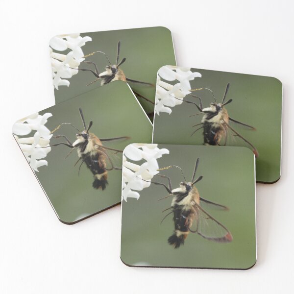 Item preview, Hummingbird Moth with White Lilacs designed and sold by Lezlie Smith.