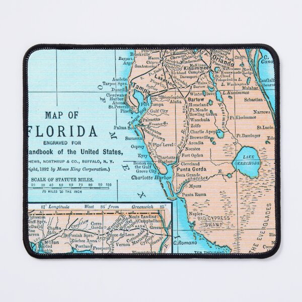 Item preview, Vintage Florida Map (1892) Old Aqua FL Antique Atlas designed and sold by BravuraMedia.