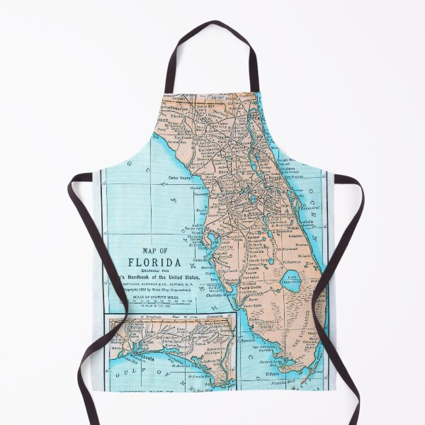 Item preview, Vintage Florida Map (1892) Old Aqua FL Antique Atlas designed and sold by BravuraMedia.